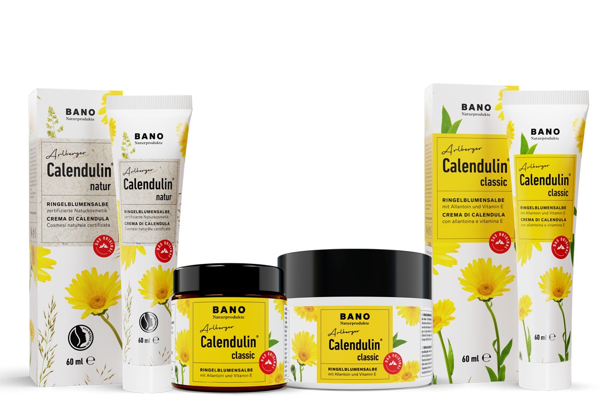 Produktdarstellung von BANO Naturprodukte aus der „Calendulin“-Serie: Links die Variante „Calendulin natur“ als Ringelblumensalbe in Tube und Glas mit naturfarbenem Etikett, rechts die Variante „Calendulin classic“ in Tube und Glastiegel mit gelbem Etikett. Alle Verpackungen zeigen Ringelblumenillustrationen sowie das rote Label „Das Original“.